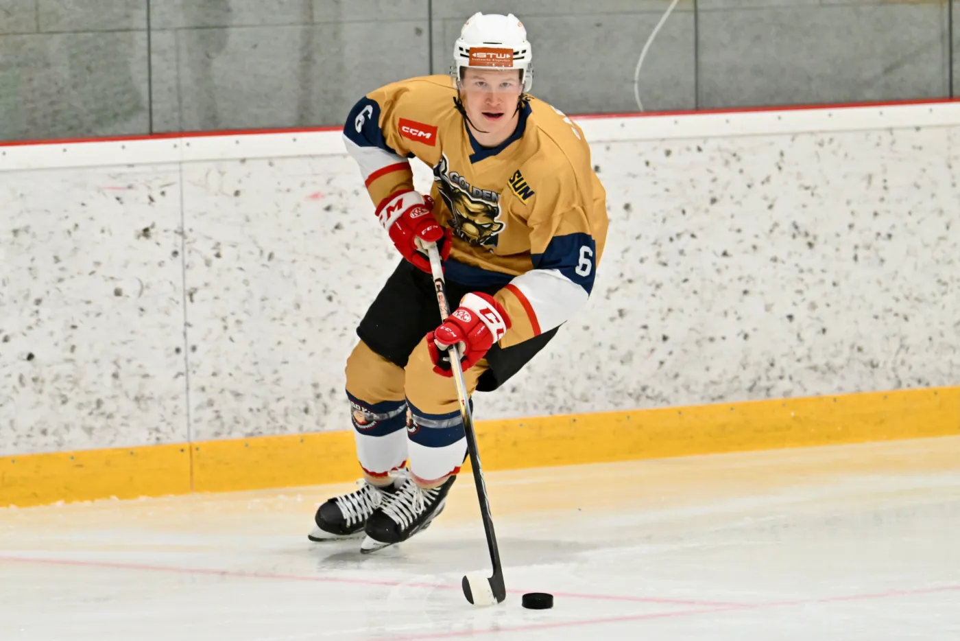 IMMOREAL GOLDEN BULLS Spielfoto