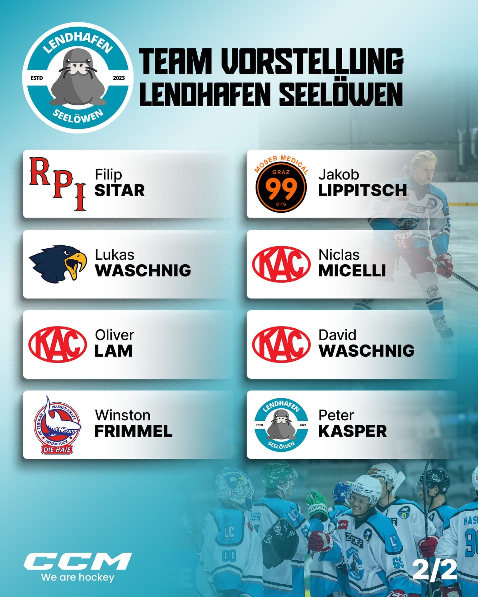 LENDHAFEN SEELÖWEN – Bild 2